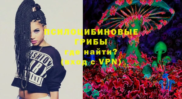 твердый Алексин