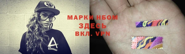 гидра Аркадак