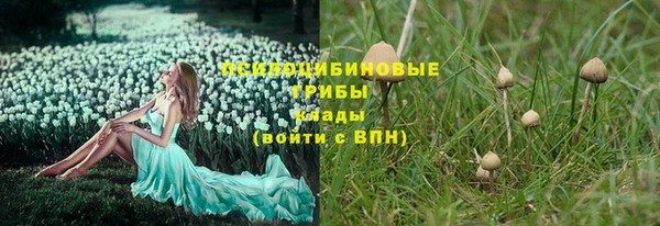 ГАЛЛЮЦИНОГЕННЫЕ ГРИБЫ Армянск