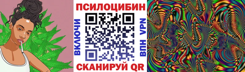 наркошоп  Гремячинск  Псилоцибиновые грибы Psilocybe 