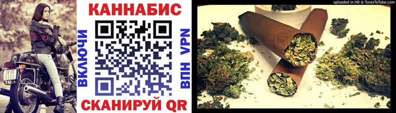 как найти наркотики  Гремячинск  Канабис ГИДРОПОН 